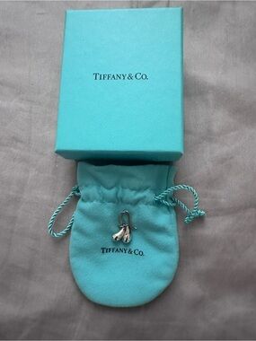 Tiffany & Co. Sterling Silver Teardrop Earrings